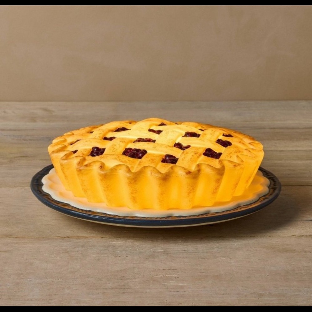 John Derian for Target 9" Pie Lit Blow Mold NWT